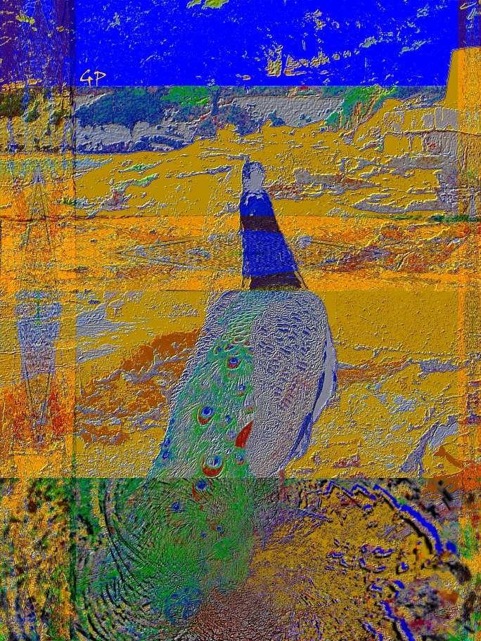 Peacock 2011 - auch wir wollen vom Gustav Klimt-Jahr profitieren....